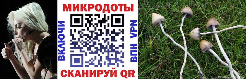 Псилоцибиновые грибы ЛСД наркошоп hydra рабочий сайт Кохма